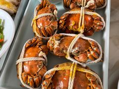 -乡乐园蟹庄·阳澄湖农家乐