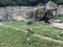 -上海野生动物园