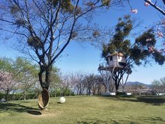 -福建鲤鱼洲酒店