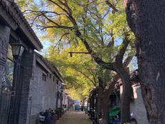 -护国寺小吃(地安门店)