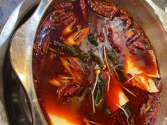 -金鼎雪山牦牛杂火锅(理县总店)