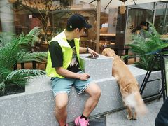 -PO PARK东方宝泰