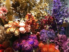 -BEAST野兽派(上海浦东嘉里城店)