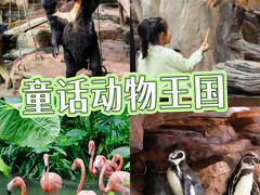 -长鹿旅游休博园