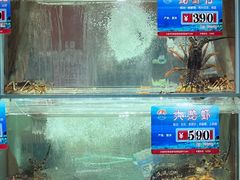 -天天渔港(杏林街店)