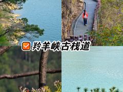 -羚羊峡古栈道森林公园