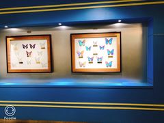 -上海昆虫博物馆