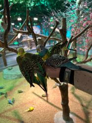 -酷嗒动物文化乐园(cutezoo西溪乐天城店)