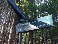 -伴山茶苑·一盏冰茶·半日山居