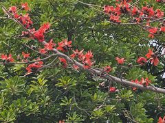 -陈李济中药博物馆