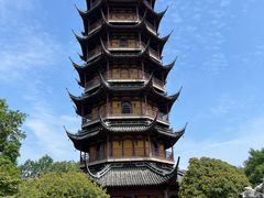 -红梅公园