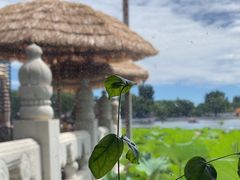 -小王府(什刹海店)