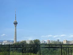 -中国宋庆龄青少年科技文化交流中心
