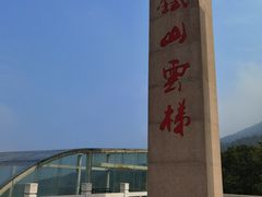 -铁山坪森林公园