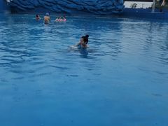 -秋雪湖欢乐世界水乐园