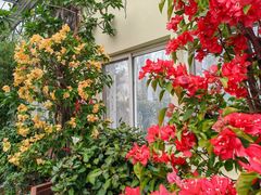 -南宫五洲植物乐园