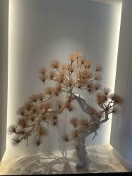 -雅荷悦来双美
