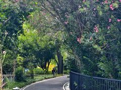 -苏州河梦清园环保主题公园