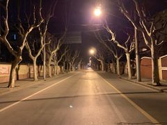 -复旦大学正大集团体育馆