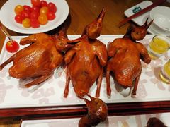 -大鸽饭(动物园店)