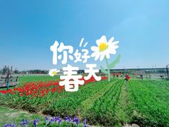 -枫林花海