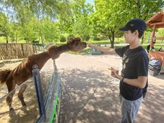 -鄂尔多斯野生动物园