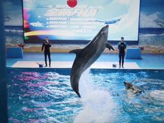 -锦艺城海洋馆