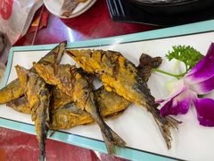 -西塔大冷面(市府大路店)