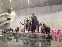 -大庆市博物馆
