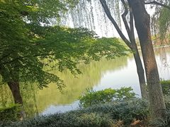 -杭州城北体育公园