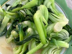 -沙洲胡杨焖饼