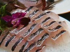 现杀鱼片-金龙·打边炉(南京西路店)