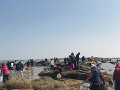 -刘家湾赶海园