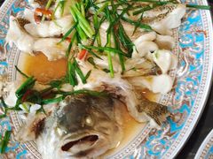 -大班家政月嫂育儿嫂(深圳NO.1店)