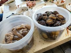 -港畔赶海蒸汽海鲜烧烤自助(仙螺岛店)