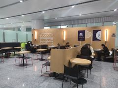 大堂-麦当劳(北京大兴机场二层国内到达(安检外)店)