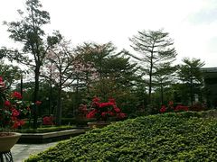 -观澜湖旅游度假区