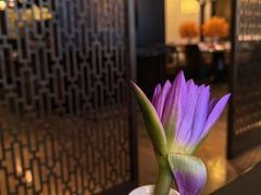 -丽晶轩中餐厅(重庆丽晶酒店)