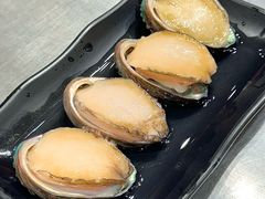 鲍鱼-水哥卜卜贝(东晓·胜汇里店)