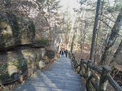 -汤旺河林海奇石景区