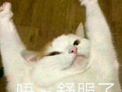 -聚盛源蒸汽海鲜火锅烤肉自助(巨川金海岸购物广场店)