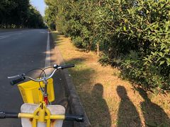 -福建鲤鱼洲酒店