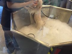 -PETKIT小佩宠物(古北店)