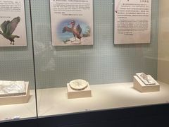 -辽宁古生物博物馆