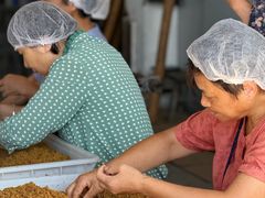 -苏州市吴中区光福窑上花果蜜饯厂