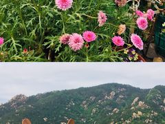-荒度咖啡(北九水店)