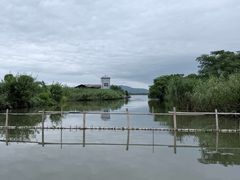 -下渚湖国家湿地公园科普馆