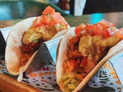 墨西哥鸡肉塔克-Famous肥猫墨西哥音乐餐吧(五棵松华熙LIVE店)