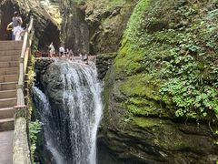 -牛背梁国家森林公园