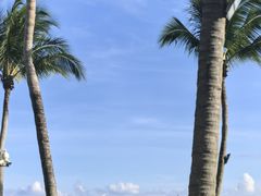 -白云中餐厅·粤菜·亚龙湾喜来登度假酒店